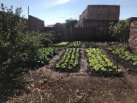 Venda Terreno em Igaraçu do Tietê /SP